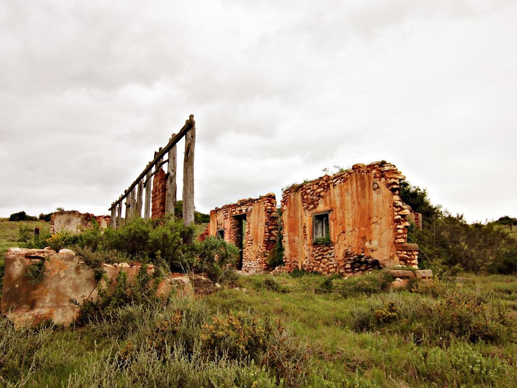 Buyskloof Hlosi Game Lodge - Amakhala Game Reserve מראה חיצוני תמונה