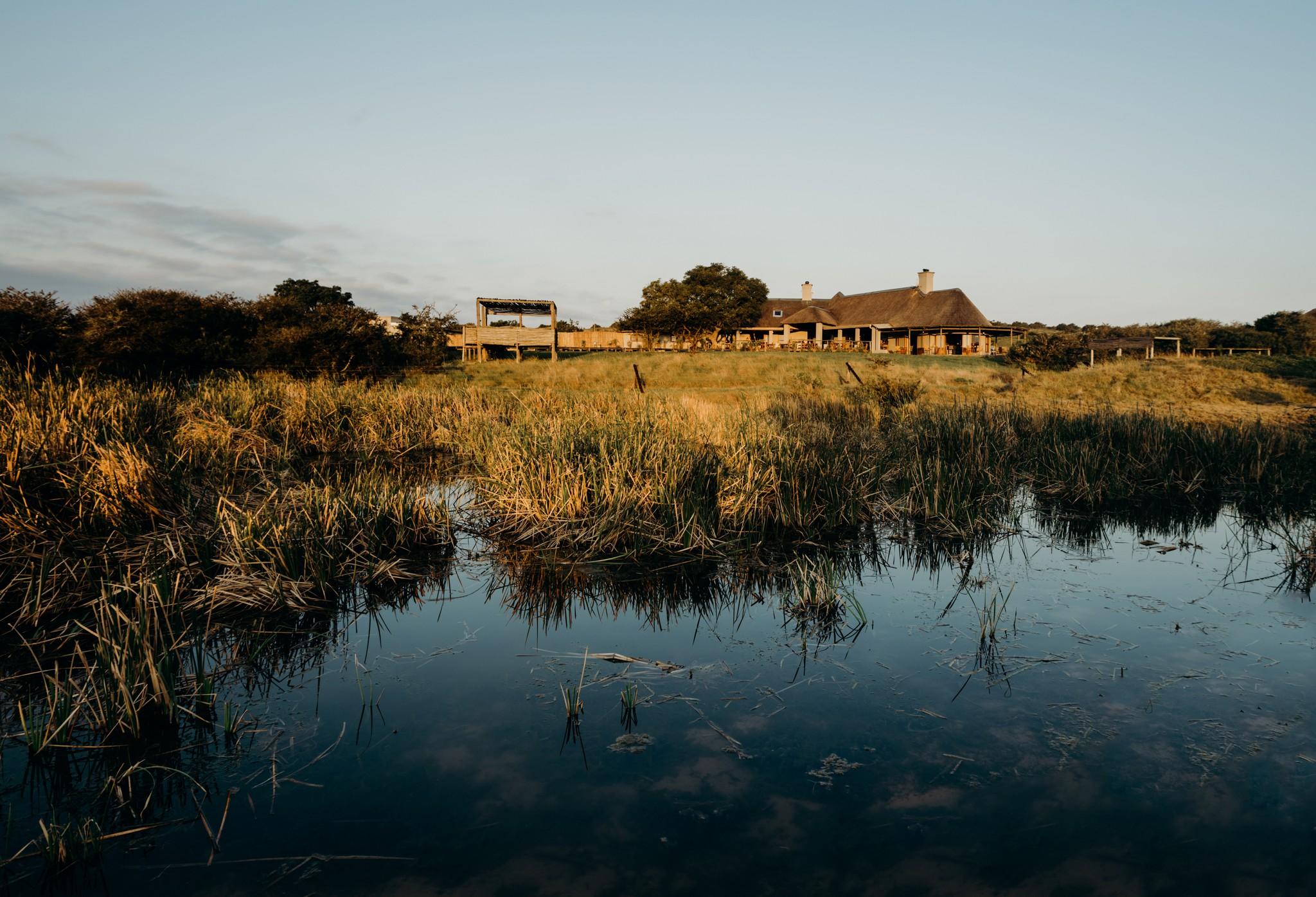 Buyskloof Hlosi Game Lodge - Amakhala Game Reserve מראה חיצוני תמונה