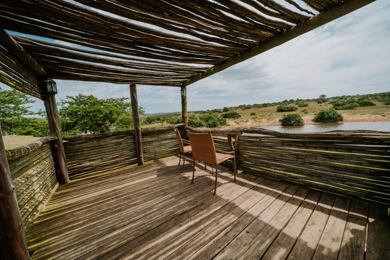 Buyskloof Hlosi Game Lodge - Amakhala Game Reserve מראה חיצוני תמונה