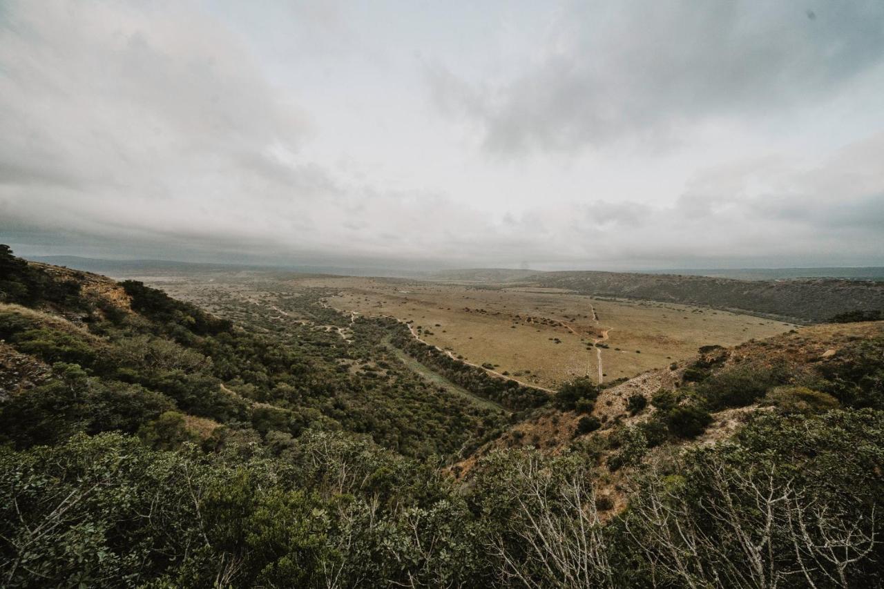 Buyskloof Hlosi Game Lodge - Amakhala Game Reserve מראה חיצוני תמונה