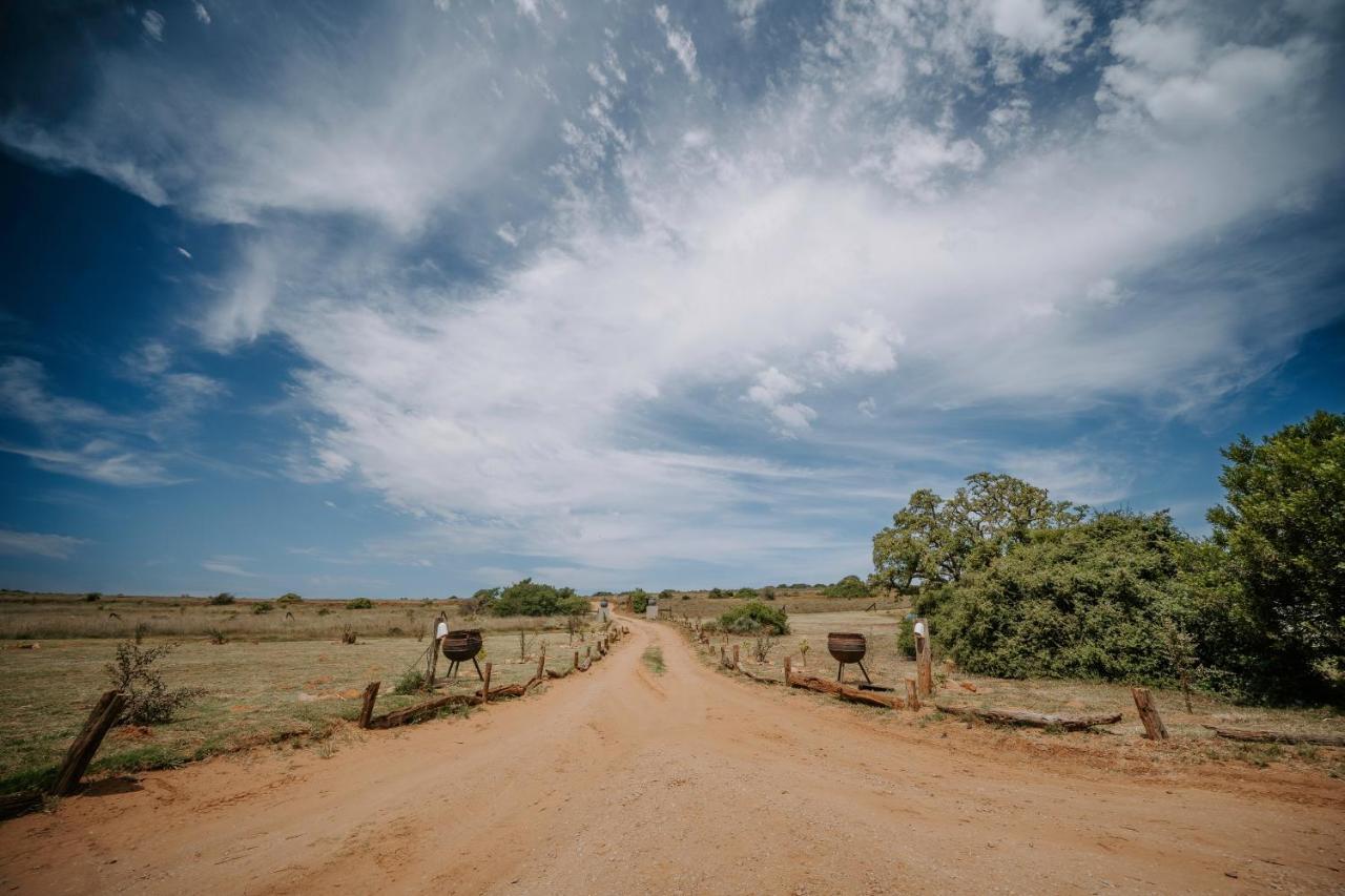 Buyskloof Hlosi Game Lodge - Amakhala Game Reserve מראה חיצוני תמונה