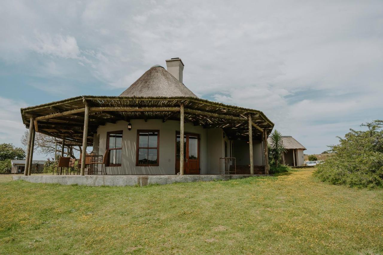 Buyskloof Hlosi Game Lodge - Amakhala Game Reserve מראה חיצוני תמונה