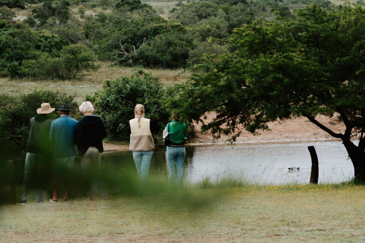 Buyskloof Hlosi Game Lodge - Amakhala Game Reserve מראה חיצוני תמונה