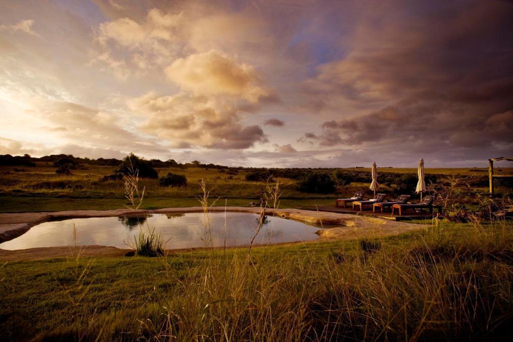 Buyskloof Hlosi Game Lodge - Amakhala Game Reserve מראה חיצוני תמונה