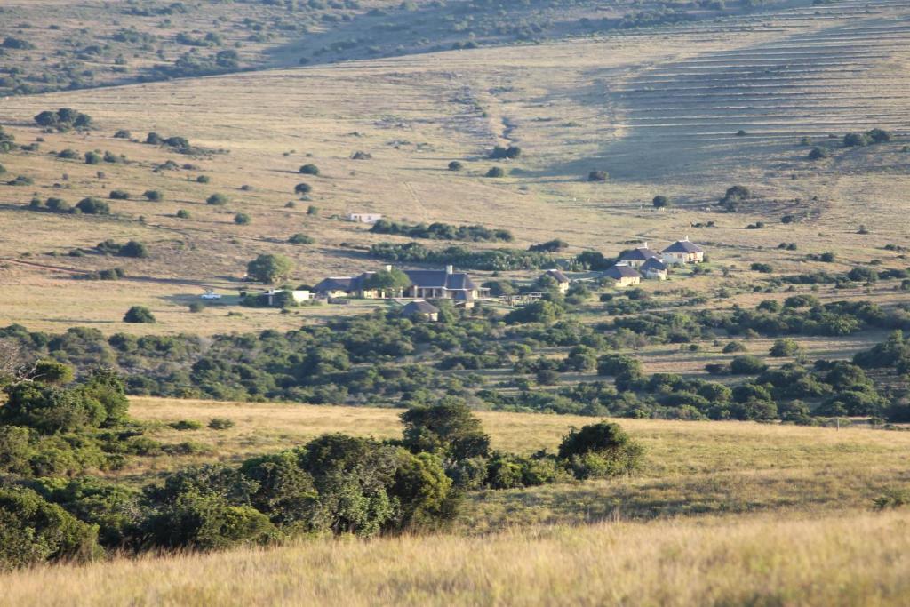 Buyskloof Hlosi Game Lodge - Amakhala Game Reserve מראה חיצוני תמונה