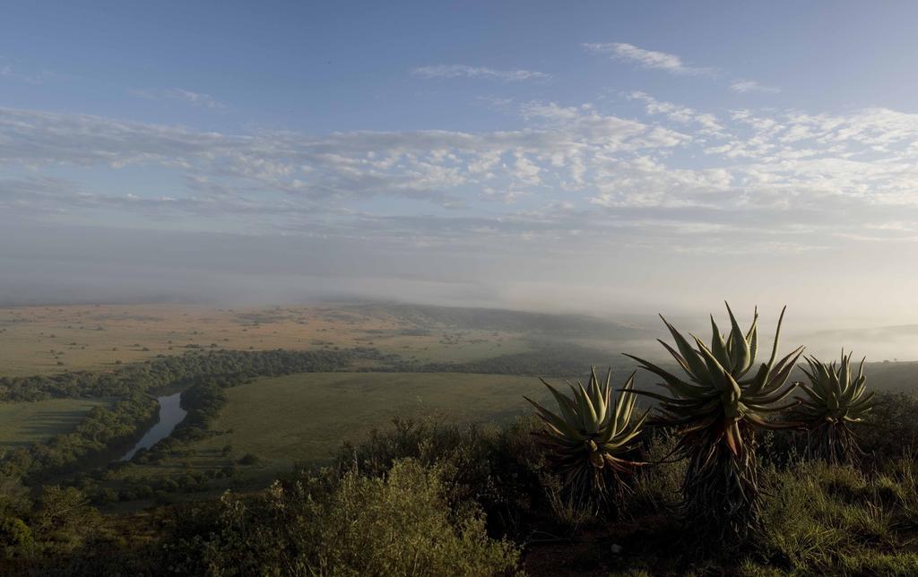 Buyskloof Hlosi Game Lodge - Amakhala Game Reserve מראה חיצוני תמונה