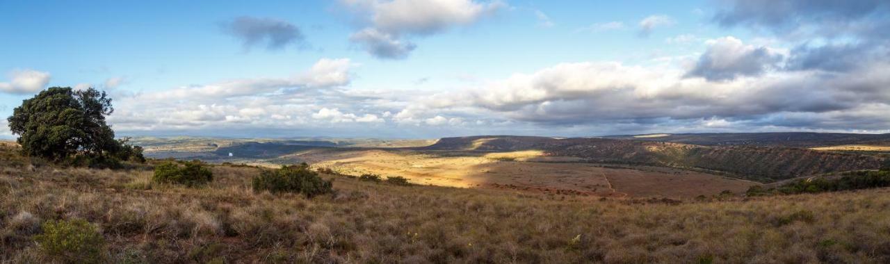 Buyskloof Hlosi Game Lodge - Amakhala Game Reserve מראה חיצוני תמונה